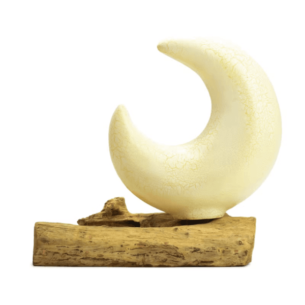 Crescent moon lamp with pale crackle shade on a natural driftwood base.