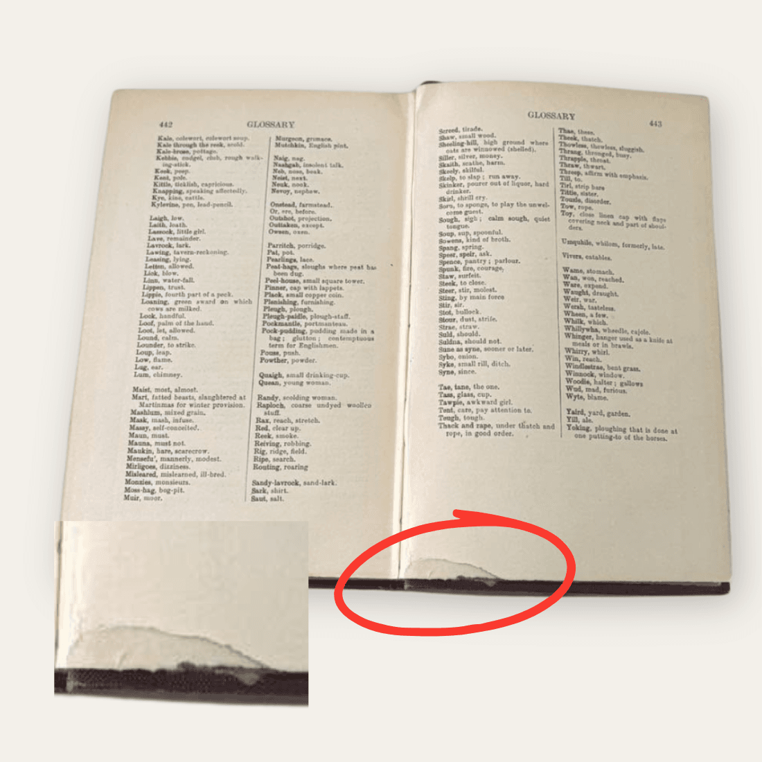 Glossary pages 442 and 443 with a red circle and enlarged inset showing a tear in the lower margin of page 443