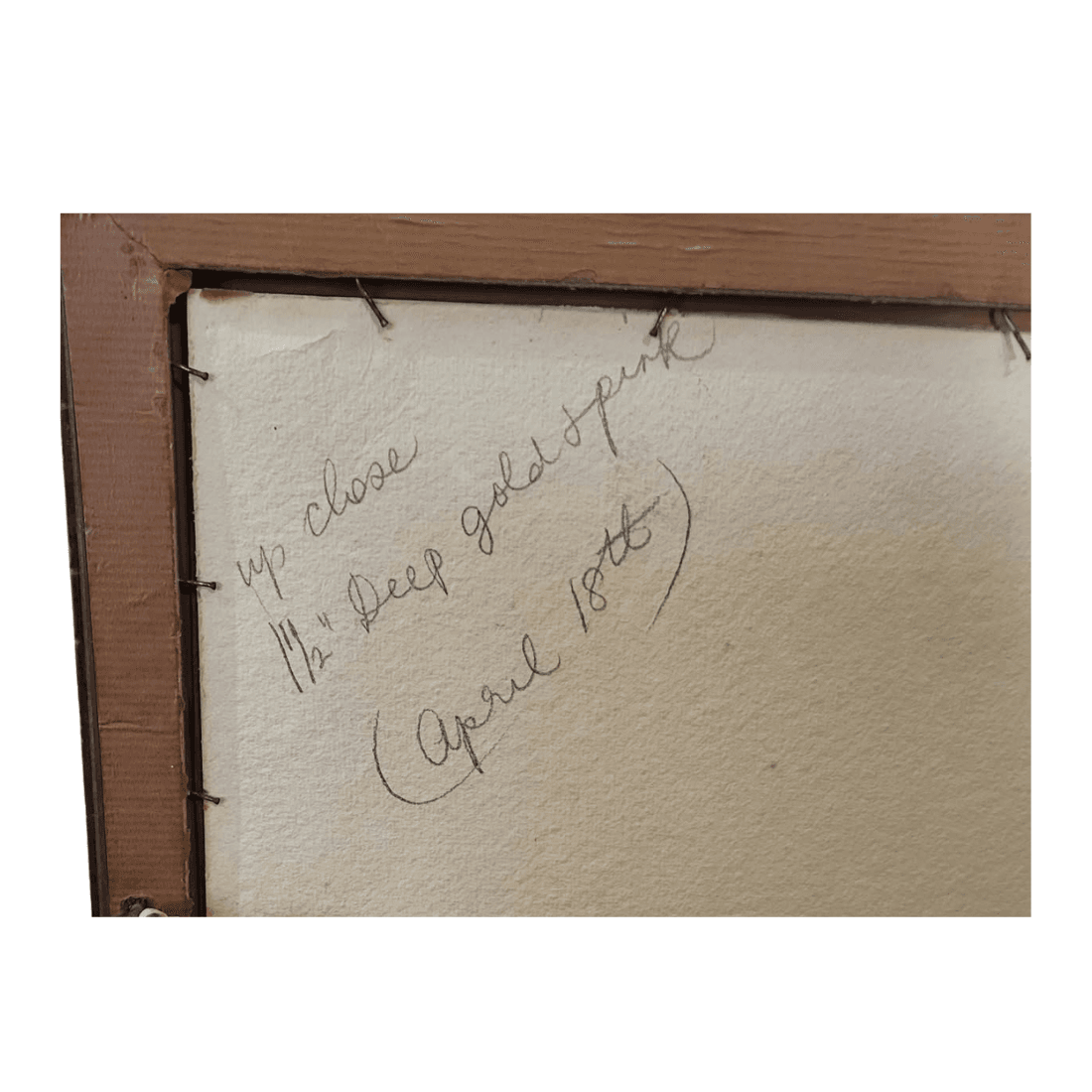 Reverse of the framed watercolour showing aged backing board, handwritten pencil notes and frame fixings.